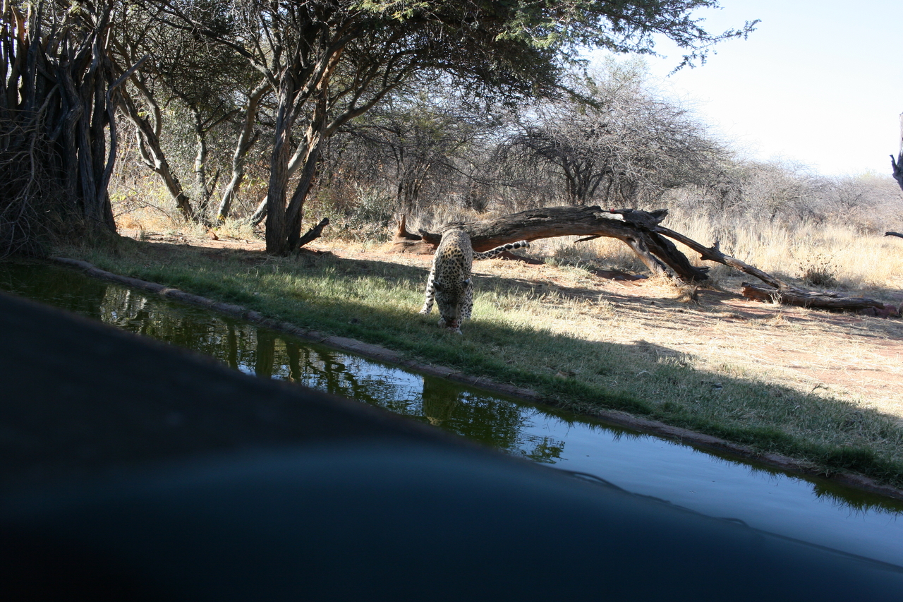 [6179] 2016_06_23_10_40_20_Africa_Canon_EOS_30D_IMG_1890_00334.jpg