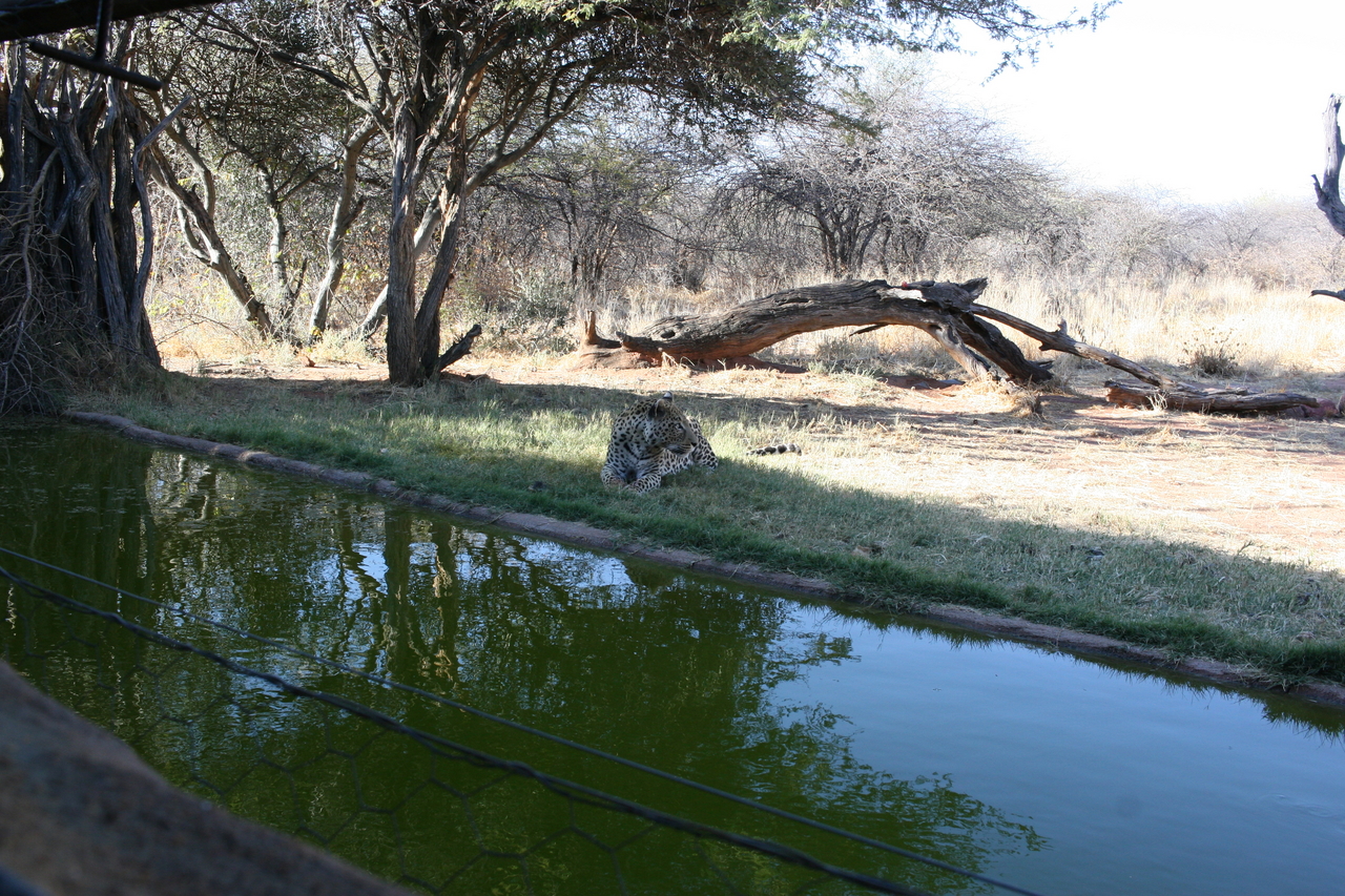 [6189] 2016_06_23_10_40_42_Africa_Canon_EOS_30D_IMG_1895_00339.jpg