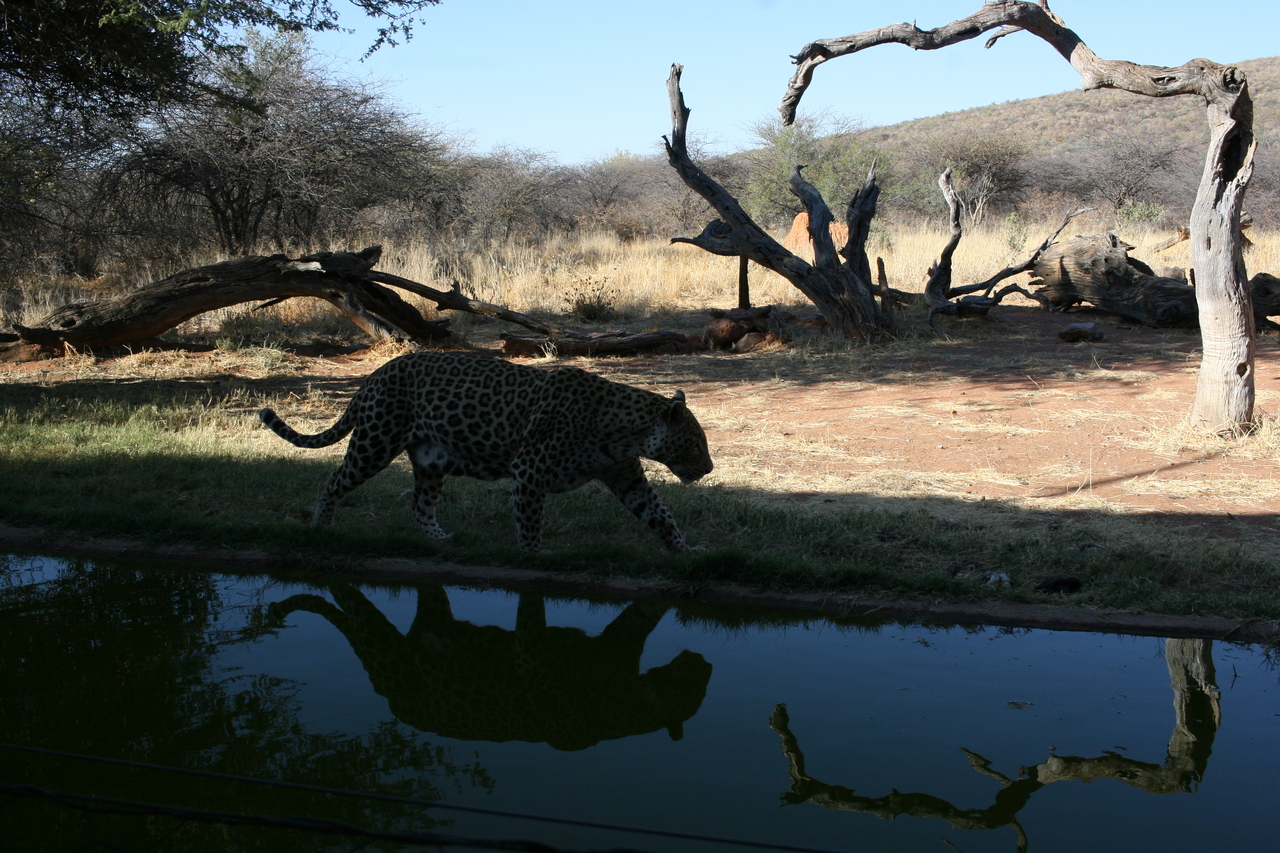 [6193] 2016_06_23_10_41_05_Africa_Canon_EOS_30D_IMG_1897_00341.jpg