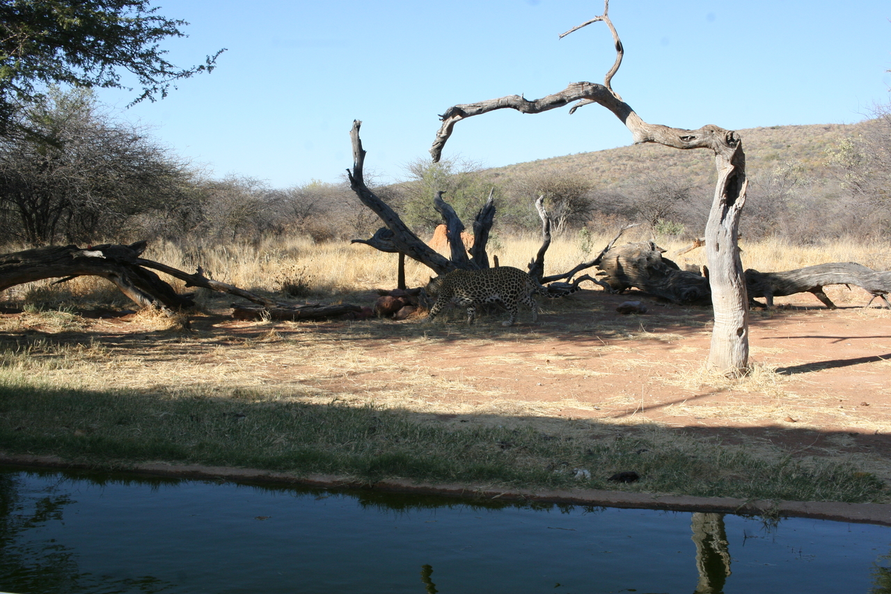 [6200] 2016_06_23_10_42_12_Africa_Canon_EOS_30D_IMG_1901_00166.jpg