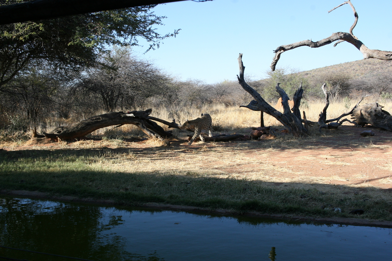 [6203] 2016_06_23_10_42_24_Africa_Canon_EOS_30D_IMG_1902_00346.jpg