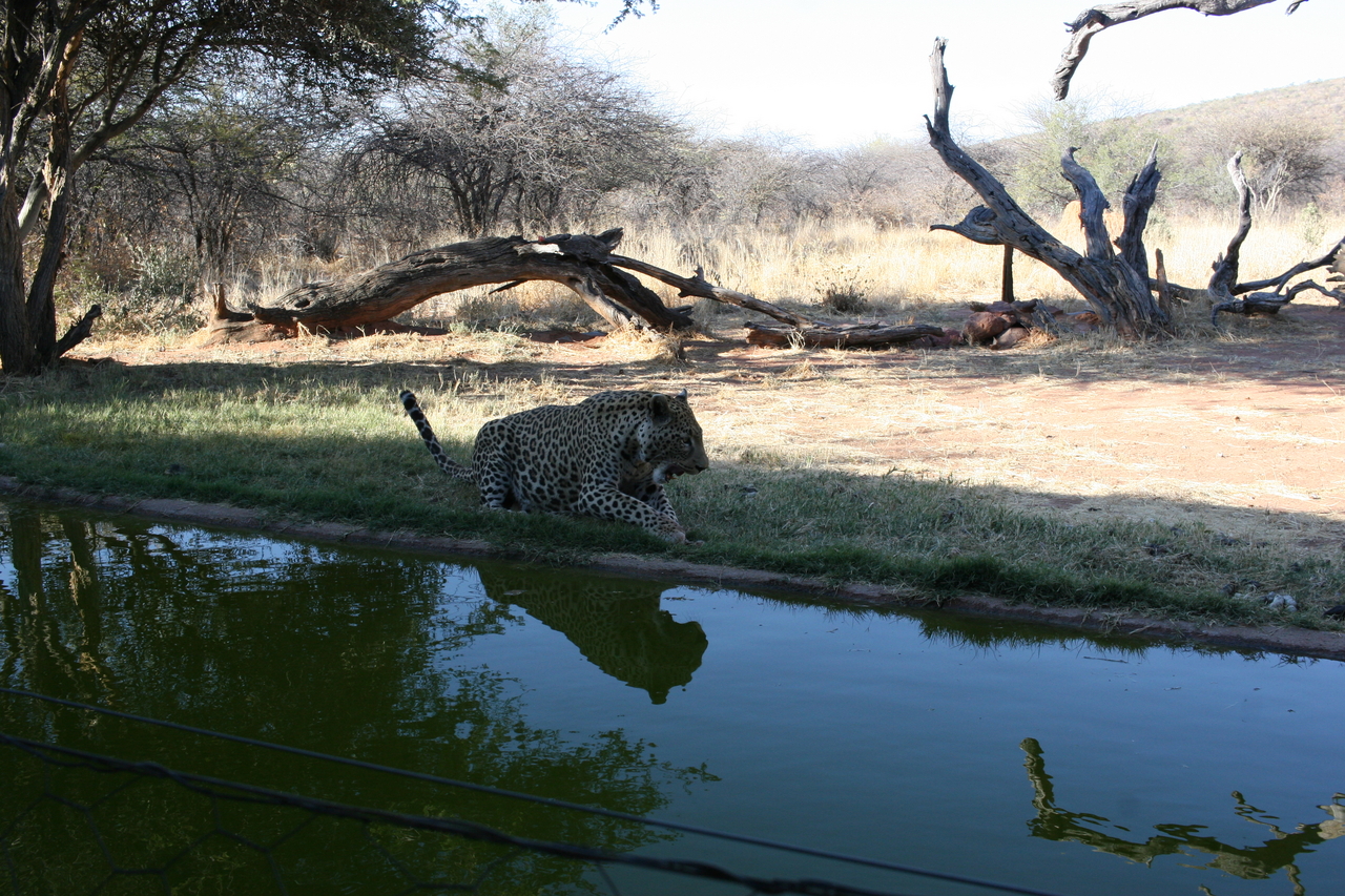 [6209] 2016_06_23_10_43_03_Africa_Canon_EOS_30D_IMG_1905_00349.jpg