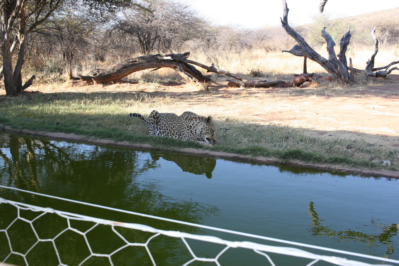 [6224] 2016_06_23_10_43_41_Africa_Canon_EOS_30D_IMG_1913_00178.jpg