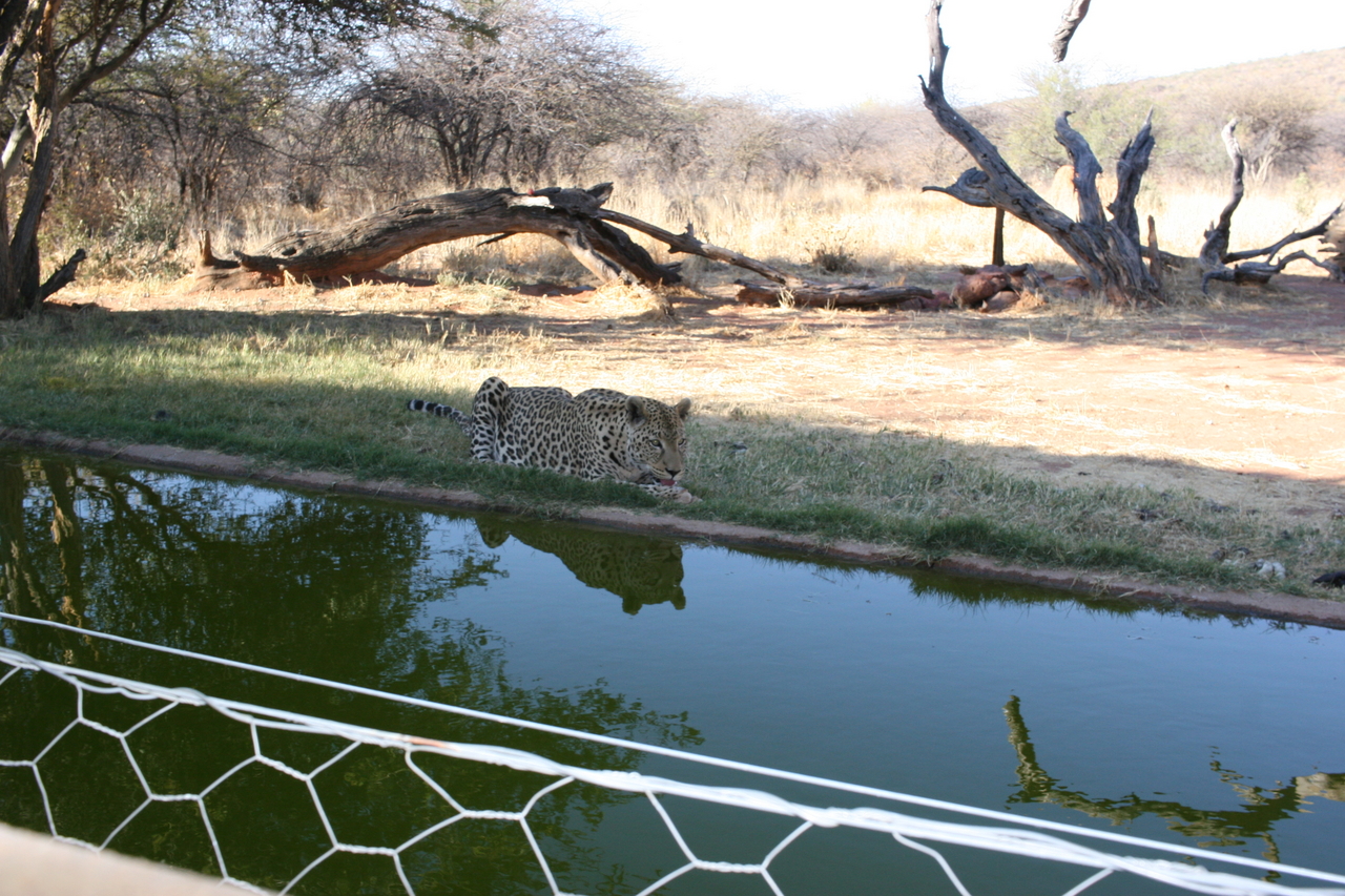 [6281] 2016_06_23_10_44_44_Africa_Canon_EOS_30D_IMG_1920_00364.jpg