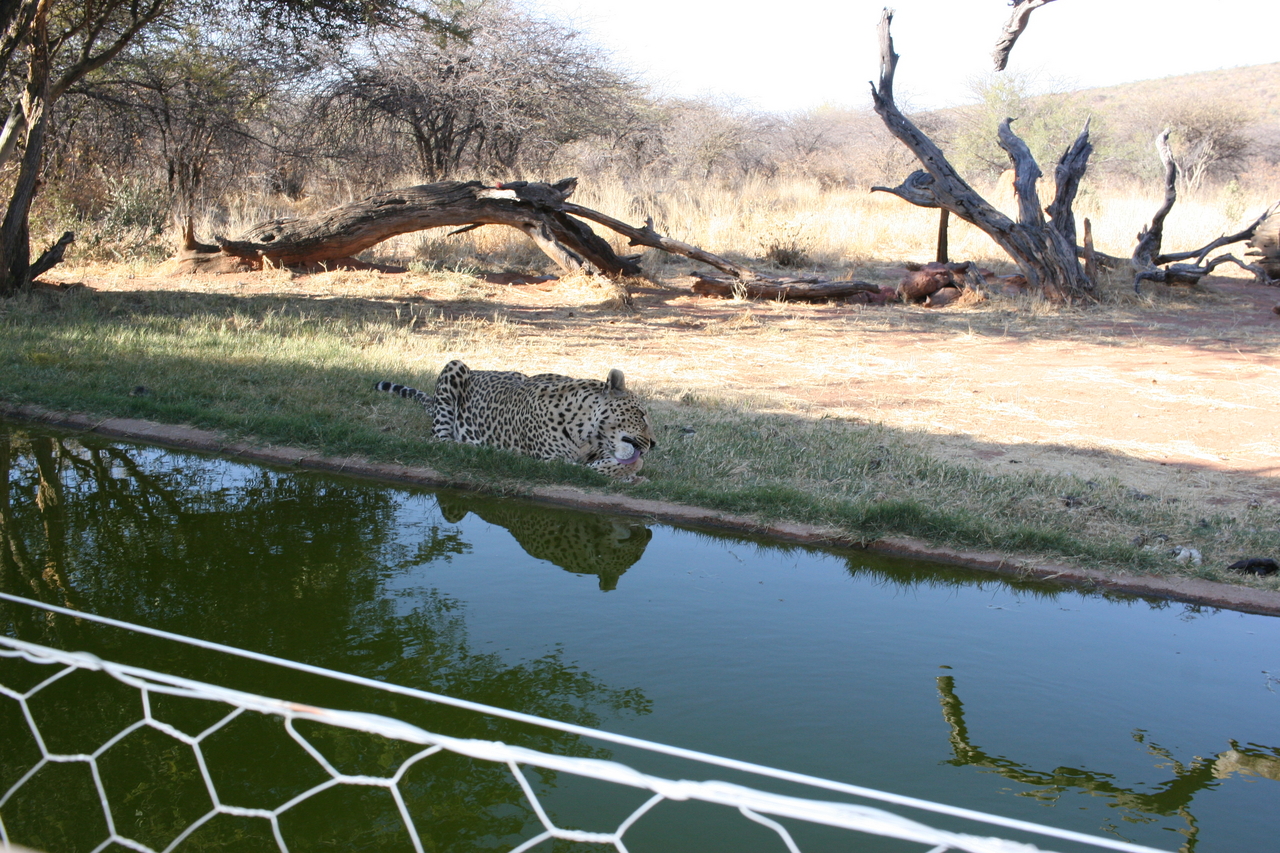 [6291] 2016_06_23_10_45_01_Africa_Canon_EOS_30D_IMG_1921_00186.jpg