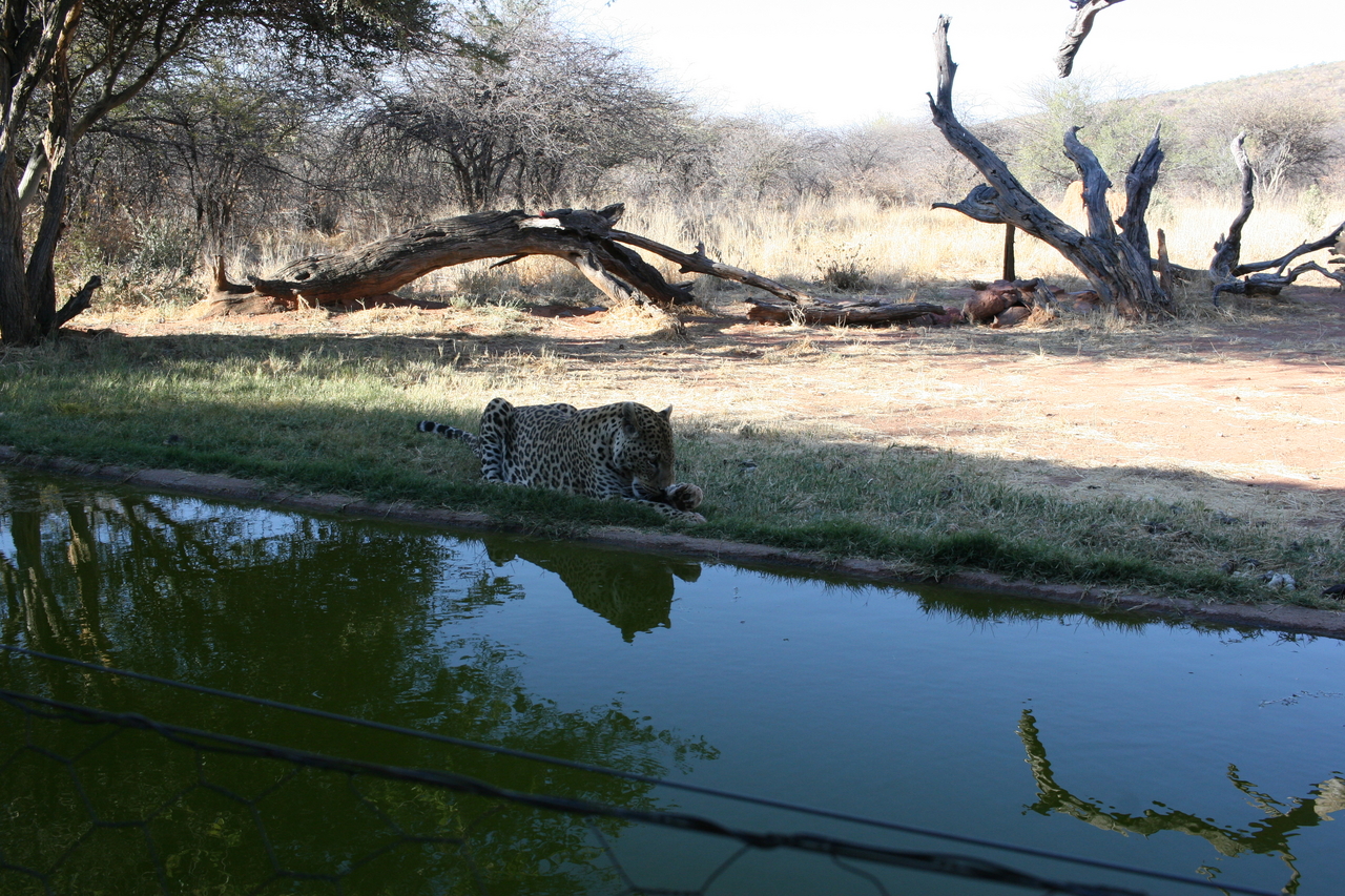 [6301] 2016_06_23_10_45_23_Africa_Canon_EOS_30D_IMG_1924_00368.jpg