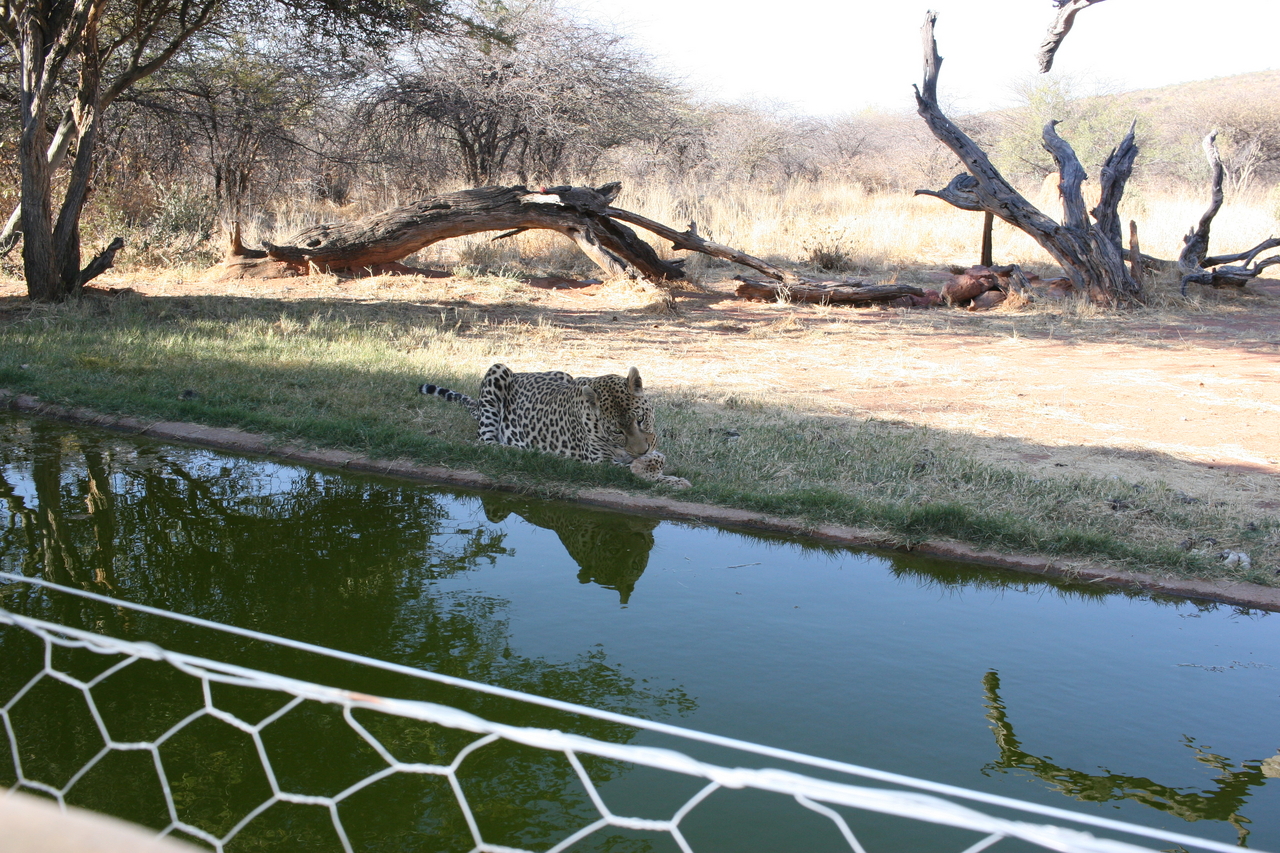 [6305] 2016_06_23_10_45_39_Africa_Canon_EOS_30D_IMG_1925_00190.jpg