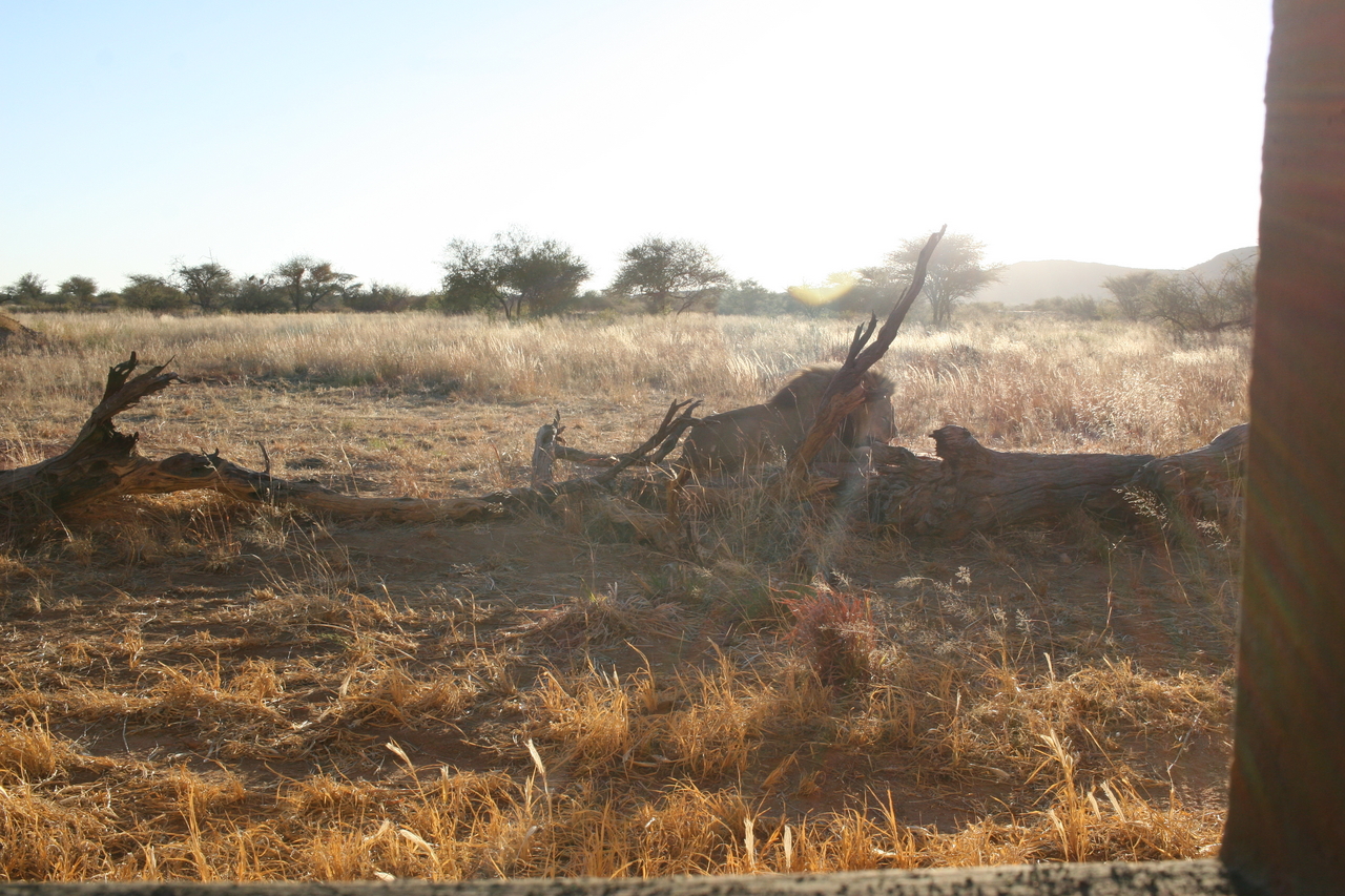 [8284] 2016_06_23_11_53_03_Africa_Canon_EOS_30D_IMG_1927_00371.jpg
