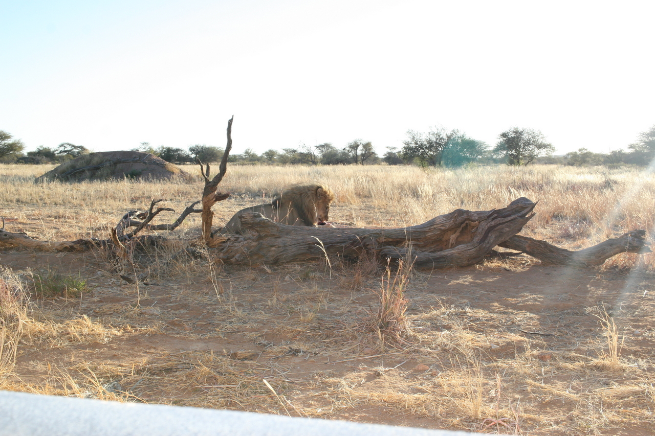 [8368] 2016_06_23_11_53_58_Africa_Canon_EOS_30D_IMG_1929_00194.jpg
