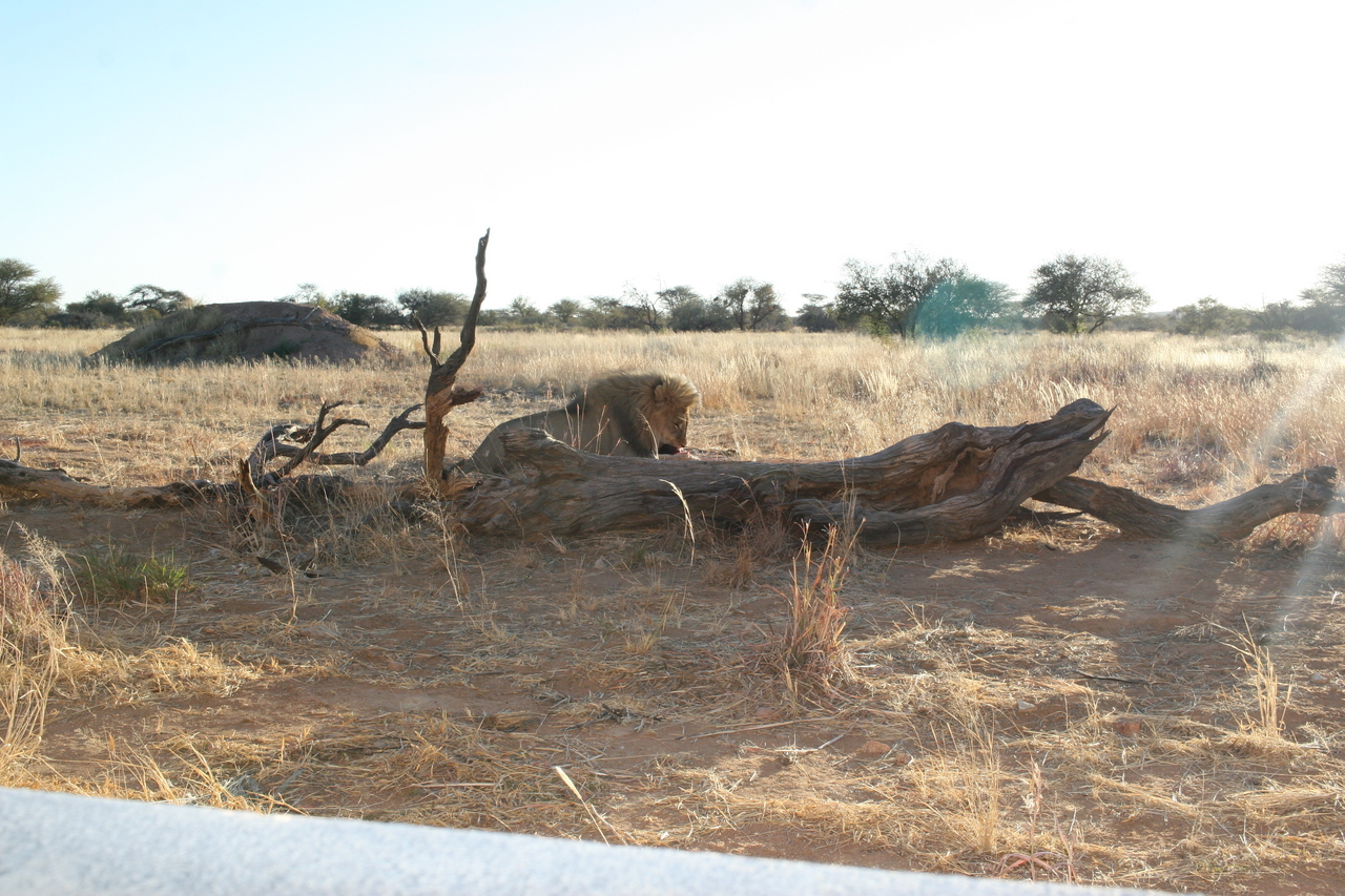 [8374] 2016_06_23_11_54_00_Africa_Canon_EOS_30D_IMG_1930_00374.jpg