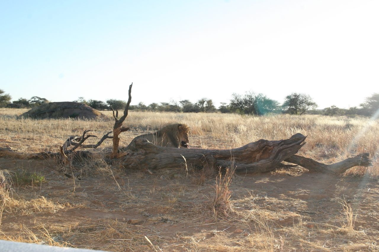 [8390] 2016_06_23_11_54_05_Africa_Canon_EOS_30D_IMG_1931_00196.jpg