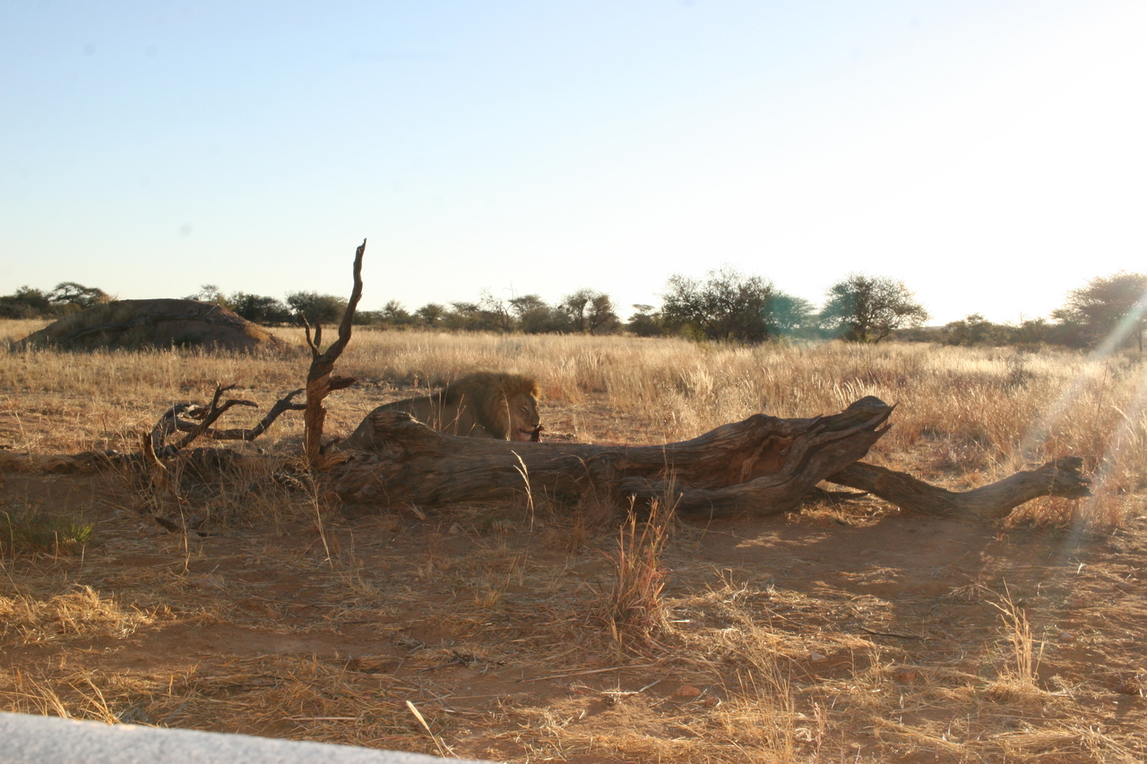 [8610] 2016_06_23_11_55_07_Africa_Canon_EOS_30D_IMG_1934_00378.jpg