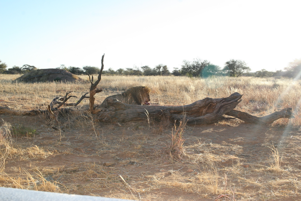 [8667] 2016_06_23_11_55_40_Africa_Canon_EOS_30D_IMG_1936_00201.jpg