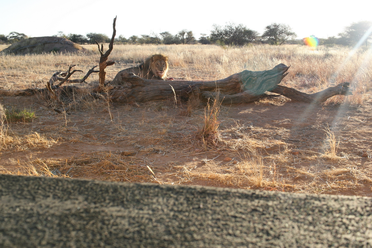 [8704] 2016_06_23_11_56_40_Africa_Canon_EOS_30D_IMG_1941_00385.jpg