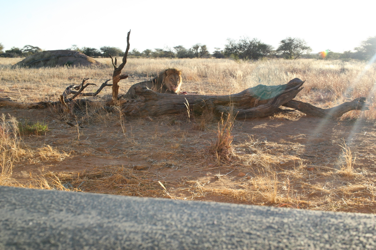 [8711] 2016_06_23_11_56_41_Africa_Canon_EOS_30D_IMG_1942_00207.jpg
