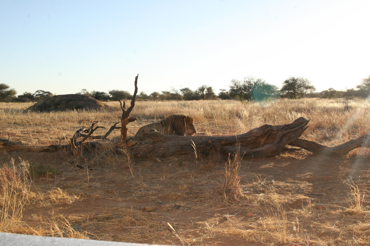 [8713] 2016_06_23_11_56_42_Africa_Canon_EOS_30D_IMG_1943_00208.jpg