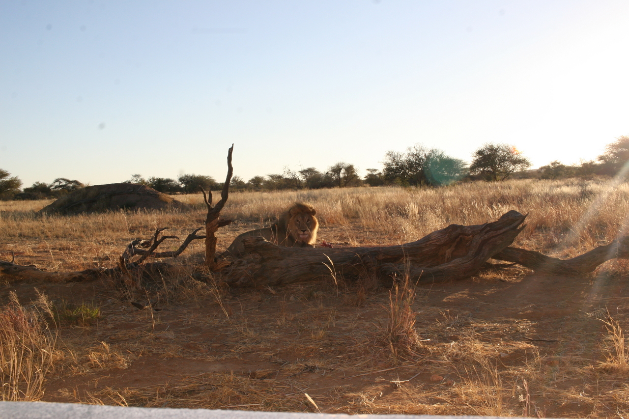 [8756] 2016_06_23_11_59_07_Africa_Canon_EOS_30D_IMG_1948_00213.jpg