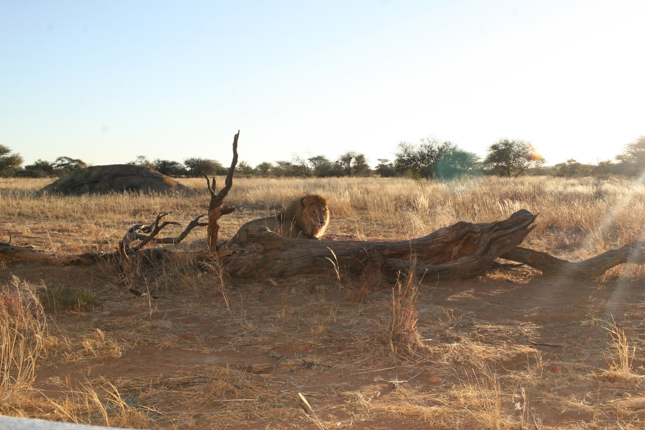 [8758] 2016_06_23_11_59_30_Africa_Canon_EOS_30D_IMG_1949_00214.jpg