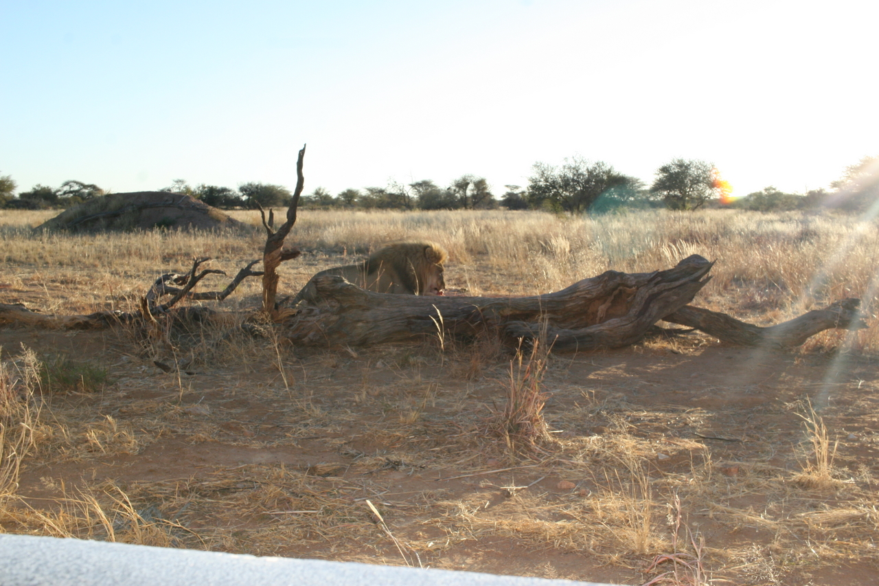 [8764] 2016_06_23_12_00_19_Africa_Canon_EOS_30D_IMG_1952_00217.jpg