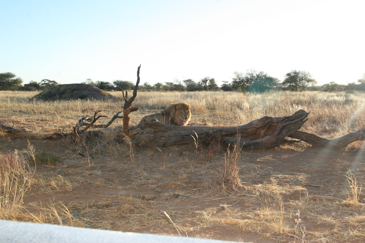 [8773] 2016_06_23_12_00_34_Africa_Canon_EOS_30D_IMG_1956_00400.jpg