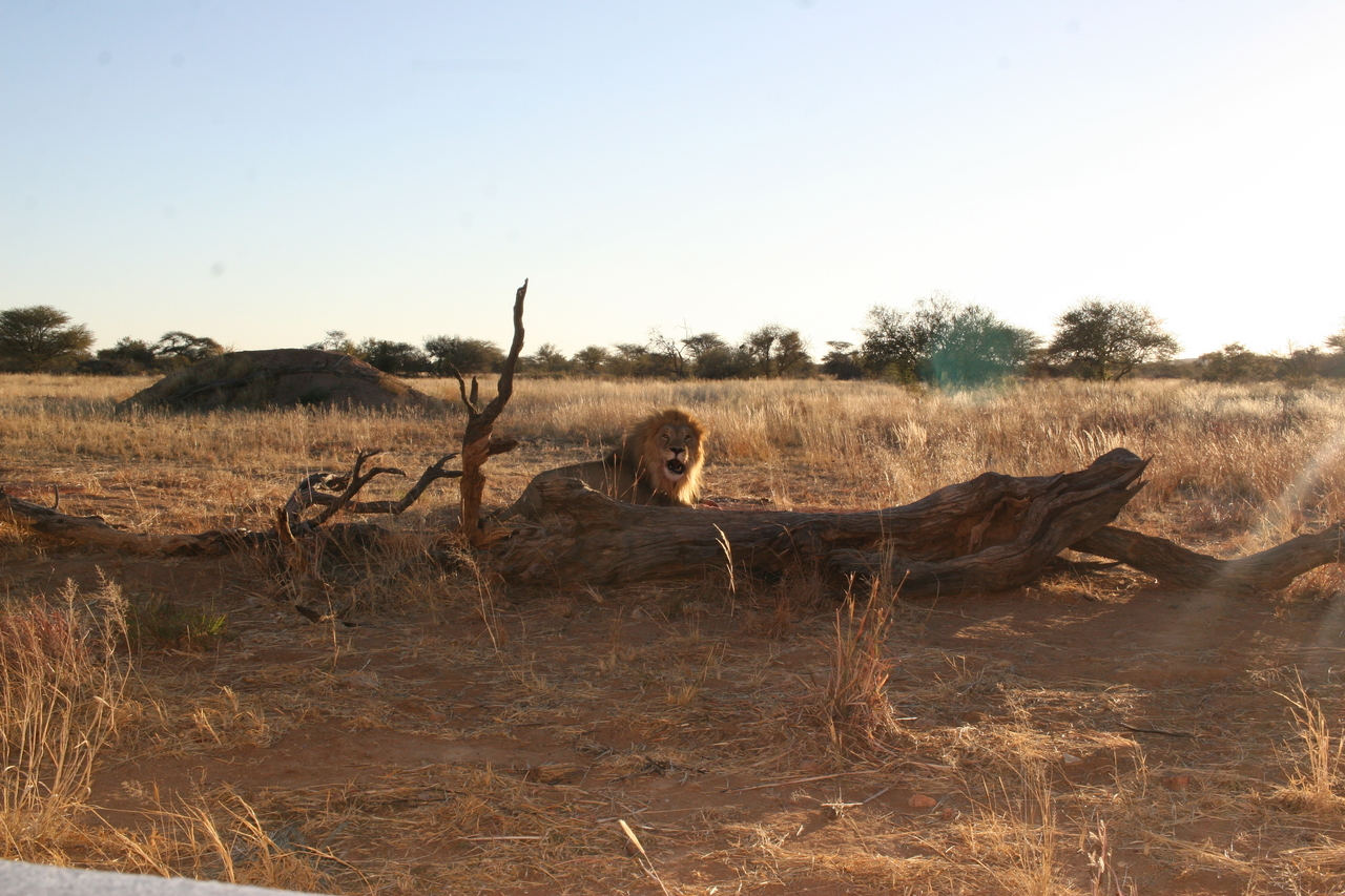 [8775] 2016_06_23_12_00_37_Africa_Canon_EOS_30D_IMG_1957_00401.jpg
