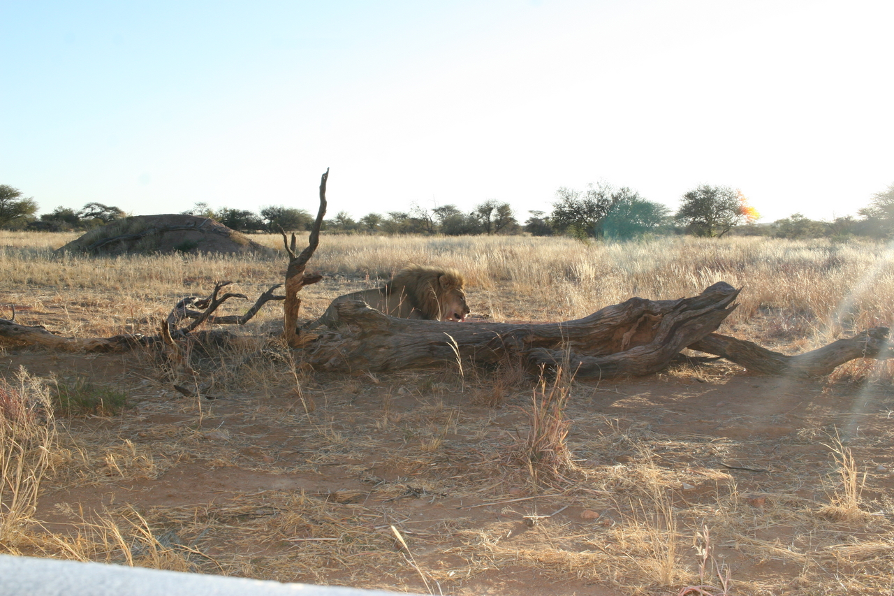 [8777] 2016_06_23_12_00_40_Africa_Canon_EOS_30D_IMG_1958_00402.jpg