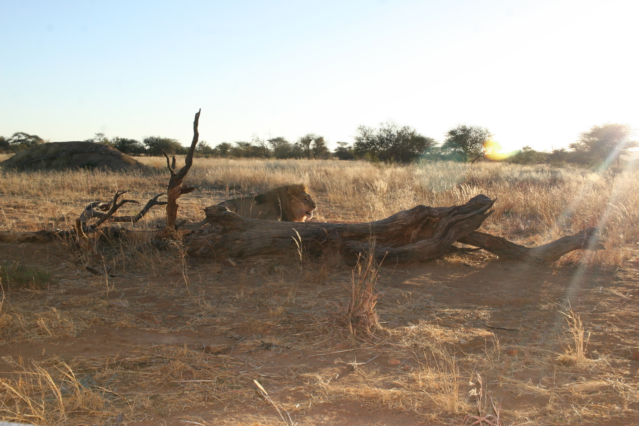 [8782] 2016_06_23_12_01_46_Africa_Canon_EOS_30D_IMG_1961_00226.jpg