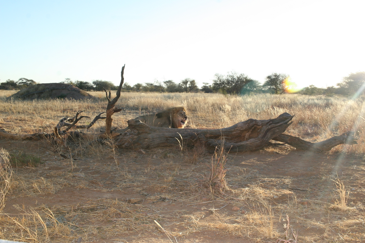 [8784] 2016_06_23_12_01_51_Africa_Canon_EOS_30D_IMG_1962_00227.jpg