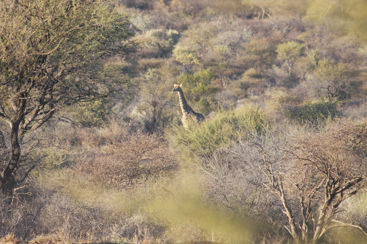 [524] 2016_06_22_02_09_19_Africa_Canon_EOS_40D_IMG__00024.jpg