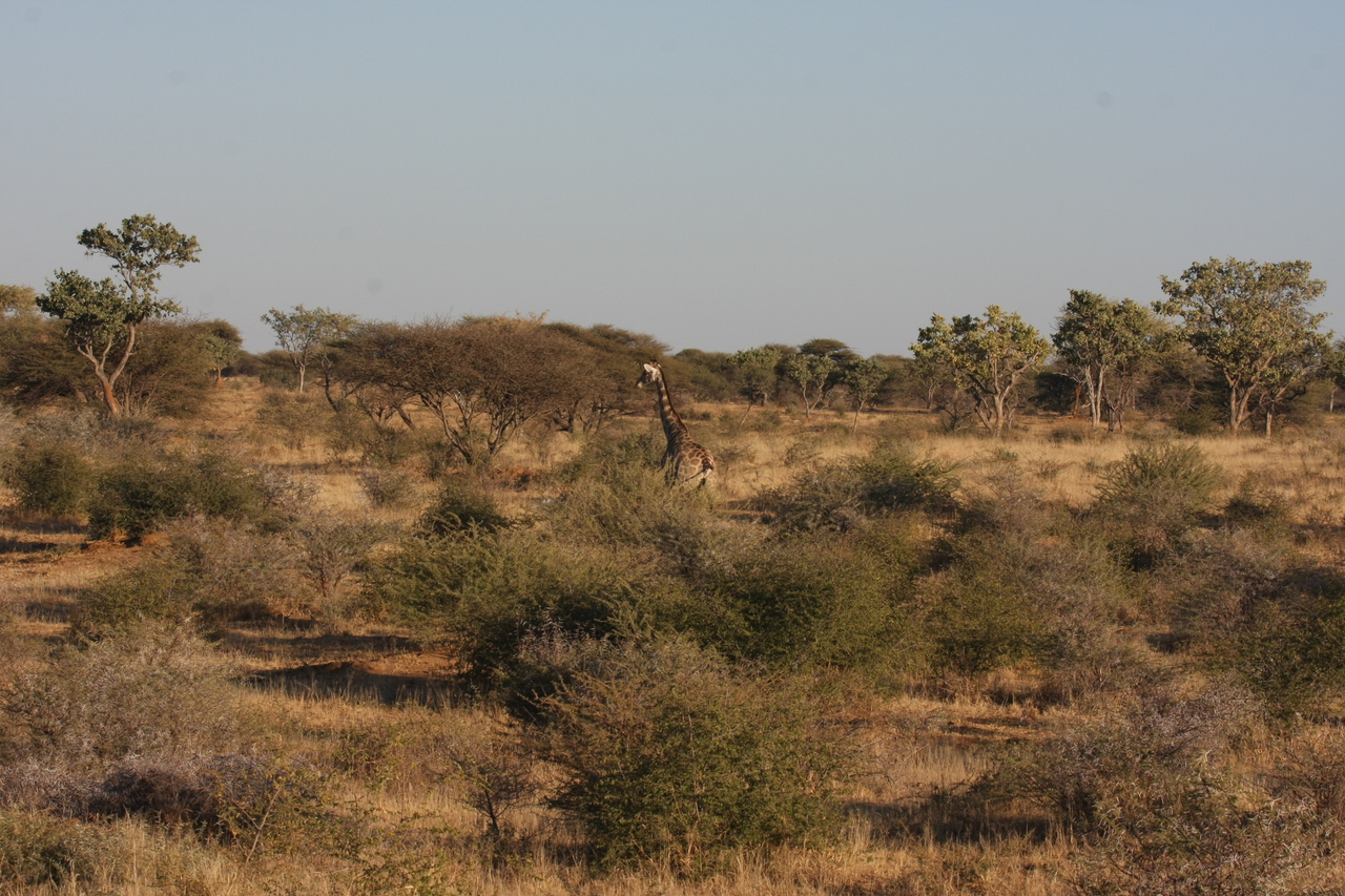 [529] 2016_06_22_02_14_33_Africa_Canon_EOS_40D_IMG__00007.jpg