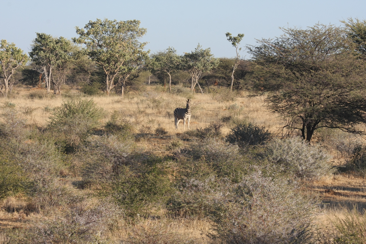 [611] 2016_06_22_02_16_39_Africa_Canon_EOS_40D_IMG__07497.jpg