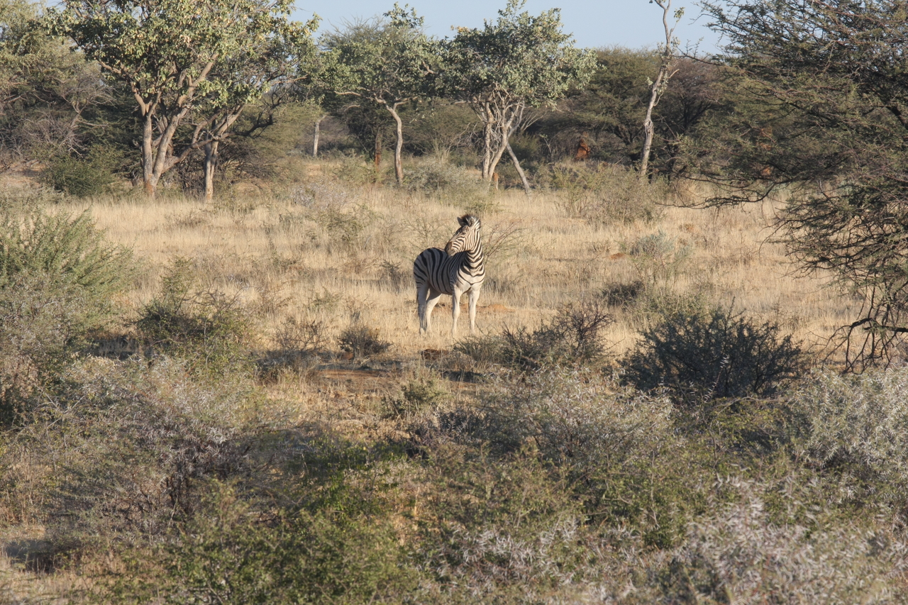 [622] 2016_06_22_02_16_50_Africa_Canon_EOS_40D_IMG__07502.jpg