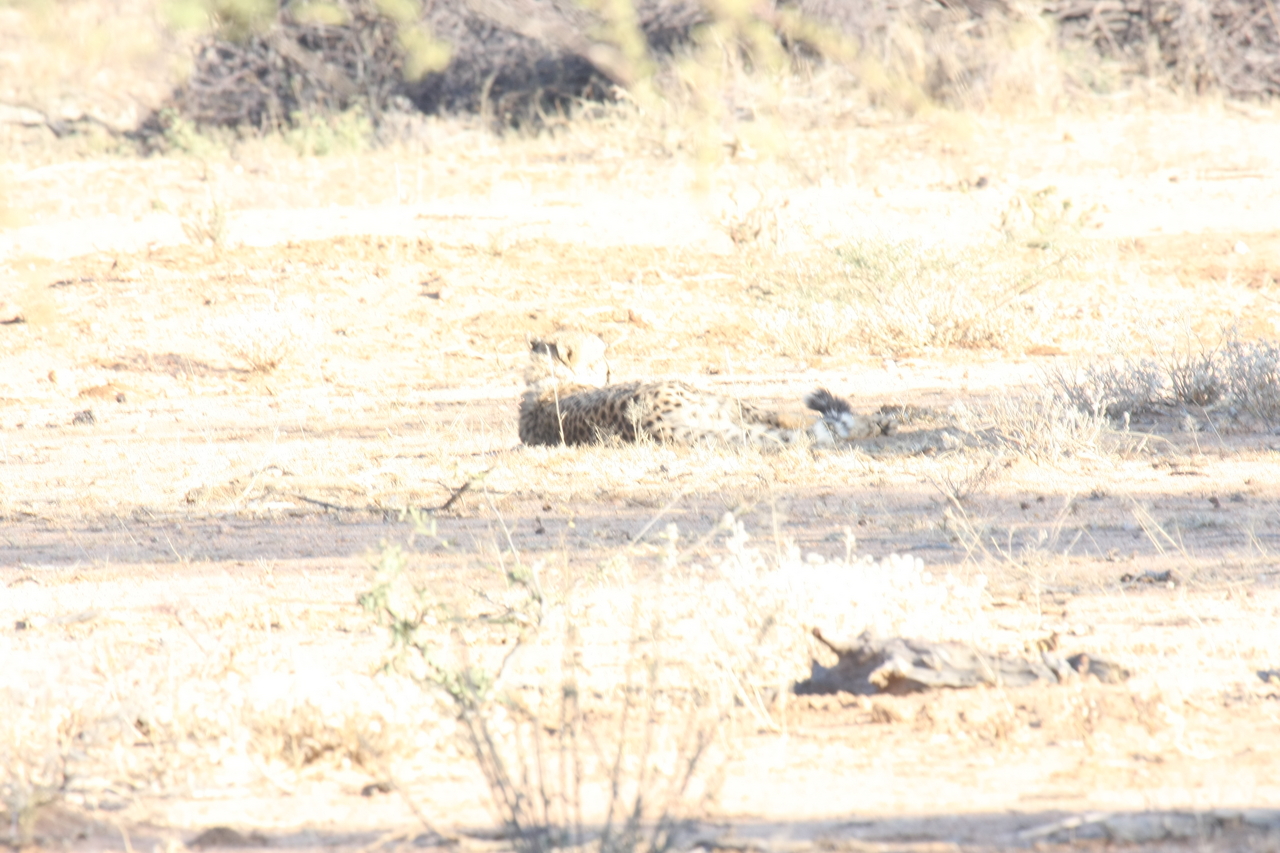 [730] 2016_06_22_02_43_07_Africa_Canon_EOS_40D_IMG__07530.jpg