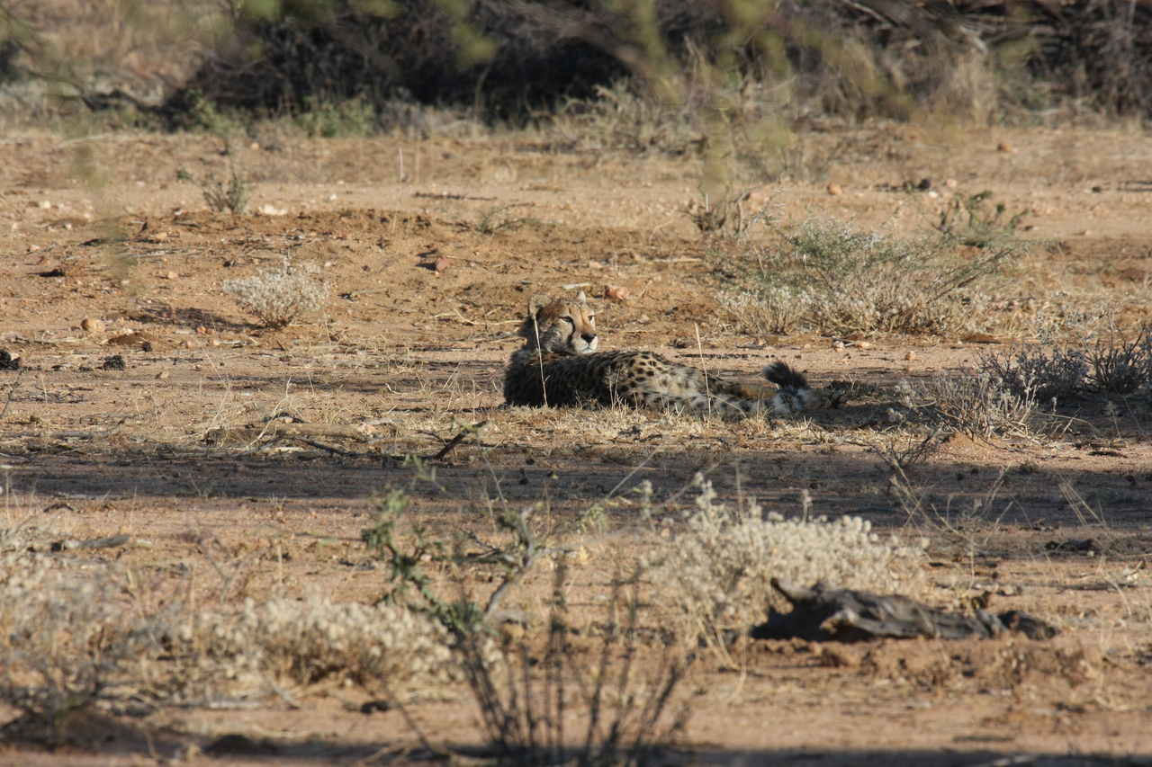 [736] 2016_06_22_02_43_16_Africa_Canon_EOS_40D_IMG__00086.jpg