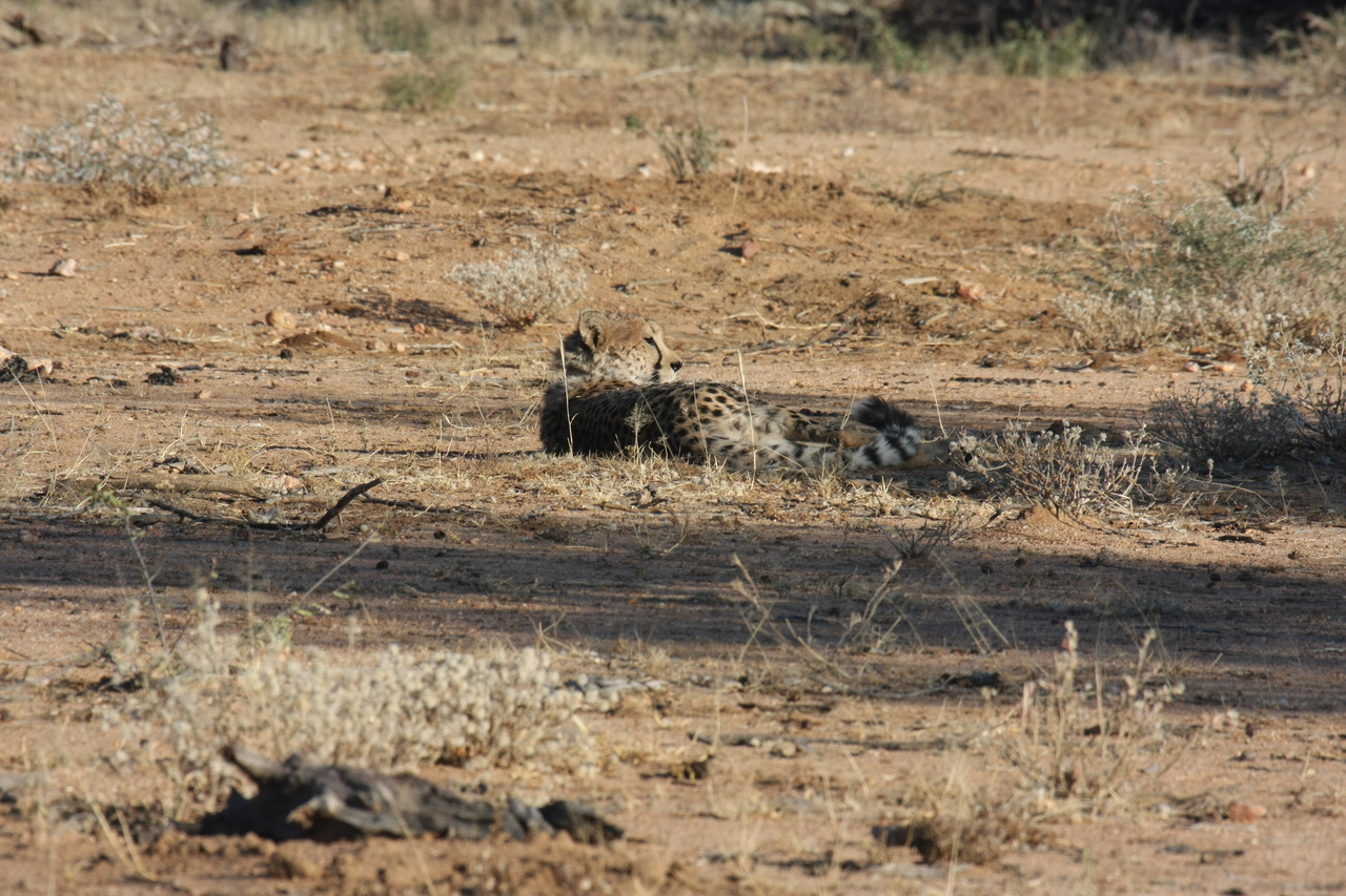 [748] 2016_06_22_02_43_45_Africa_Canon_EOS_40D_IMG__00072.jpg