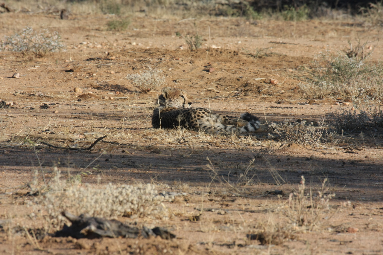 [752] 2016_06_22_02_43_45_Africa_Canon_EOS_40D_IMG__07536.jpg