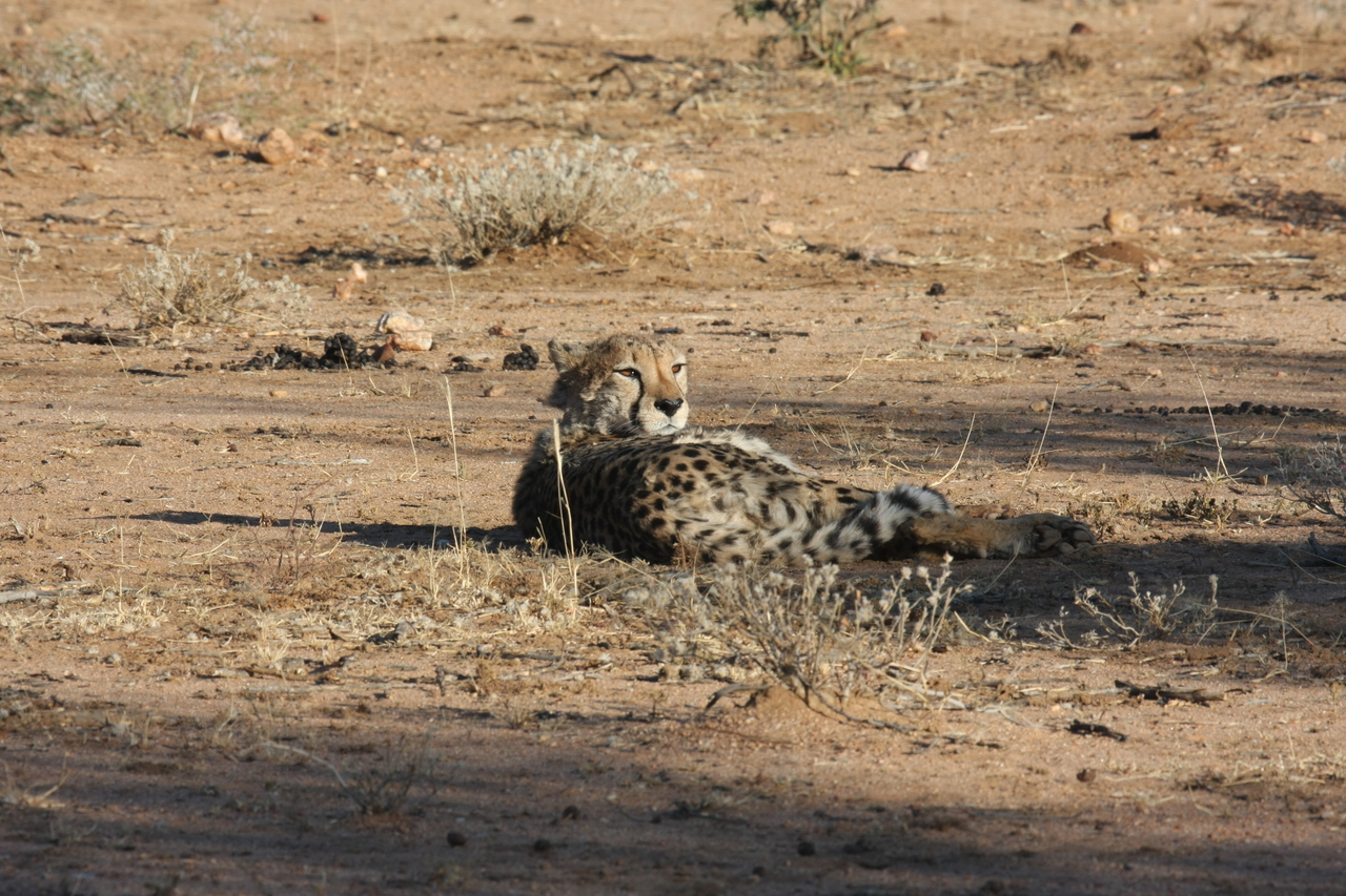 [766] 2016_06_22_02_44_45_Africa_Canon_EOS_40D_IMG__07542.jpg