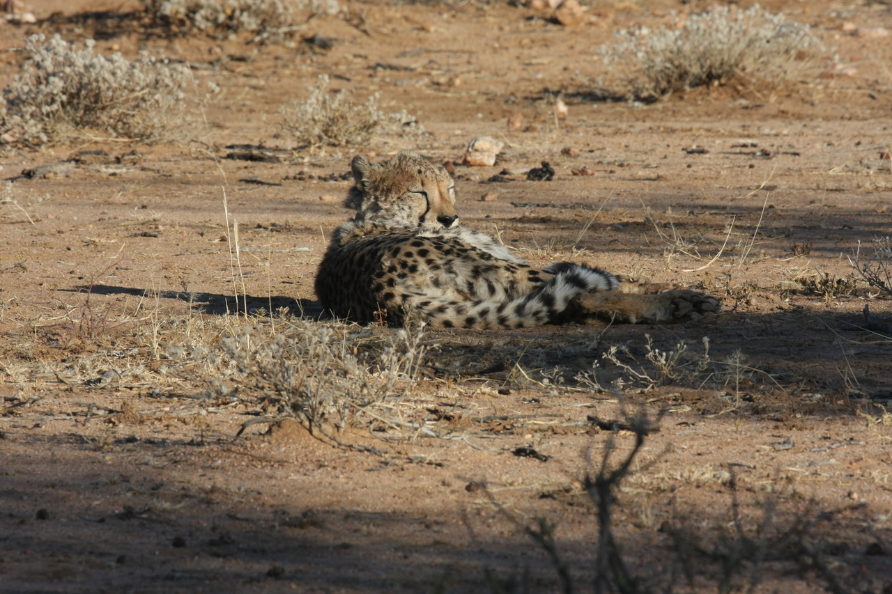 [772] 2016_06_22_02_44_58_Africa_Canon_EOS_40D_IMG__07544.jpg