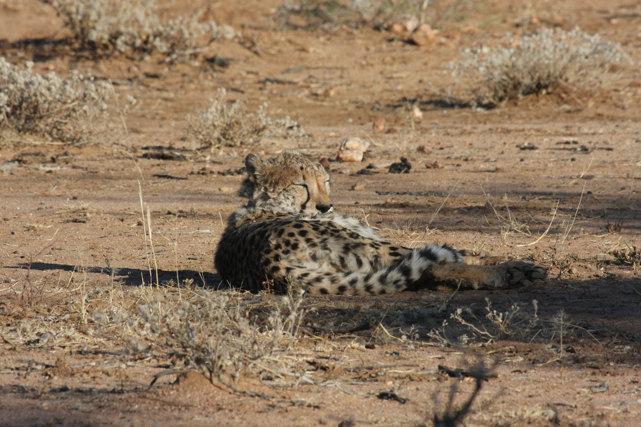 [773] 2016_06_22_02_45_05_Africa_Canon_EOS_40D_IMG__00079.jpg