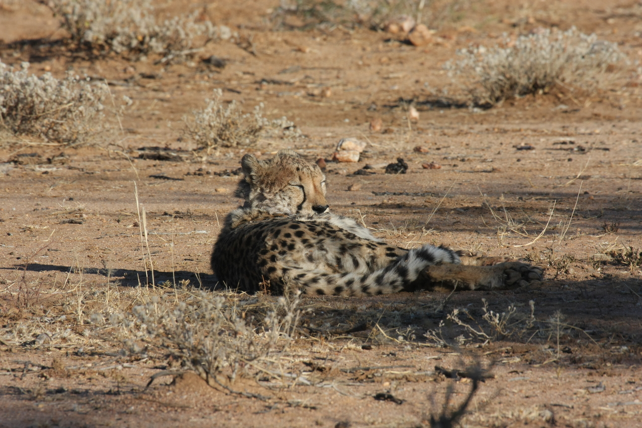 [778] 2016_06_22_02_45_05_Africa_Canon_EOS_40D_IMG__07546.jpg