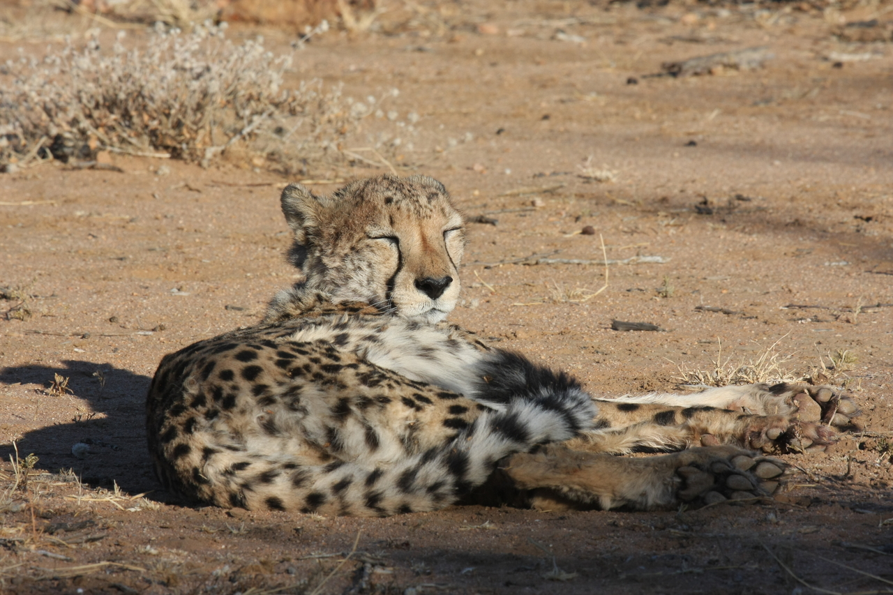 [785] 2016_06_22_02_45_54_Africa_Canon_EOS_40D_IMG__00102.jpg