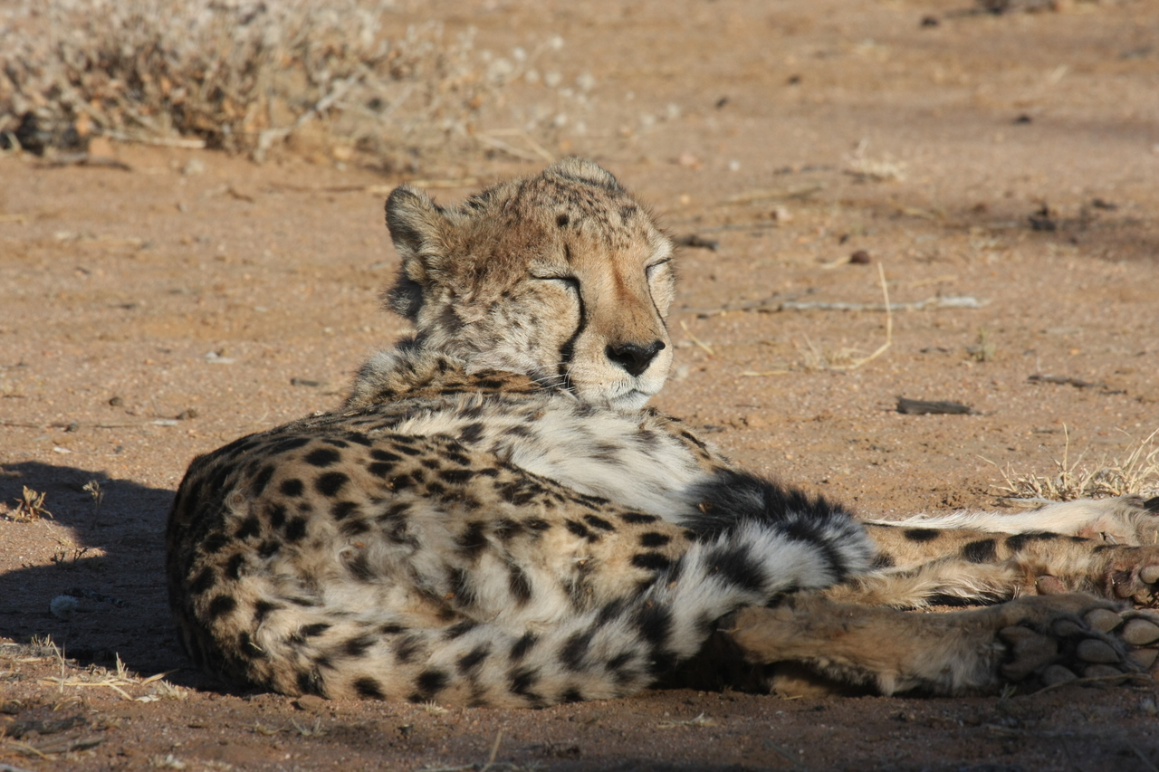 [793] 2016_06_22_02_45_59_Africa_Canon_EOS_40D_IMG__00104.jpg