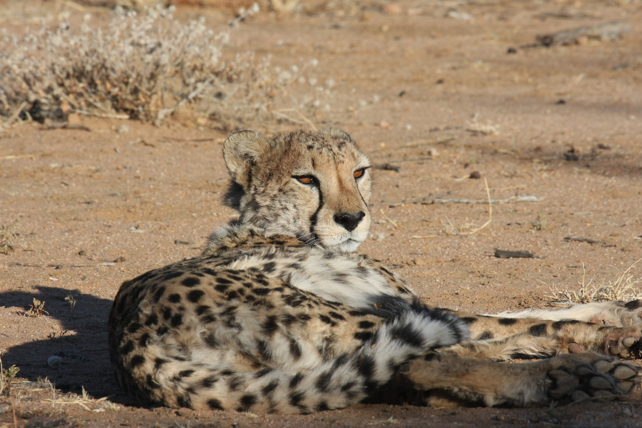 [804] 2016_06_22_02_46_05_Africa_Canon_EOS_40D_IMG__00090.jpg