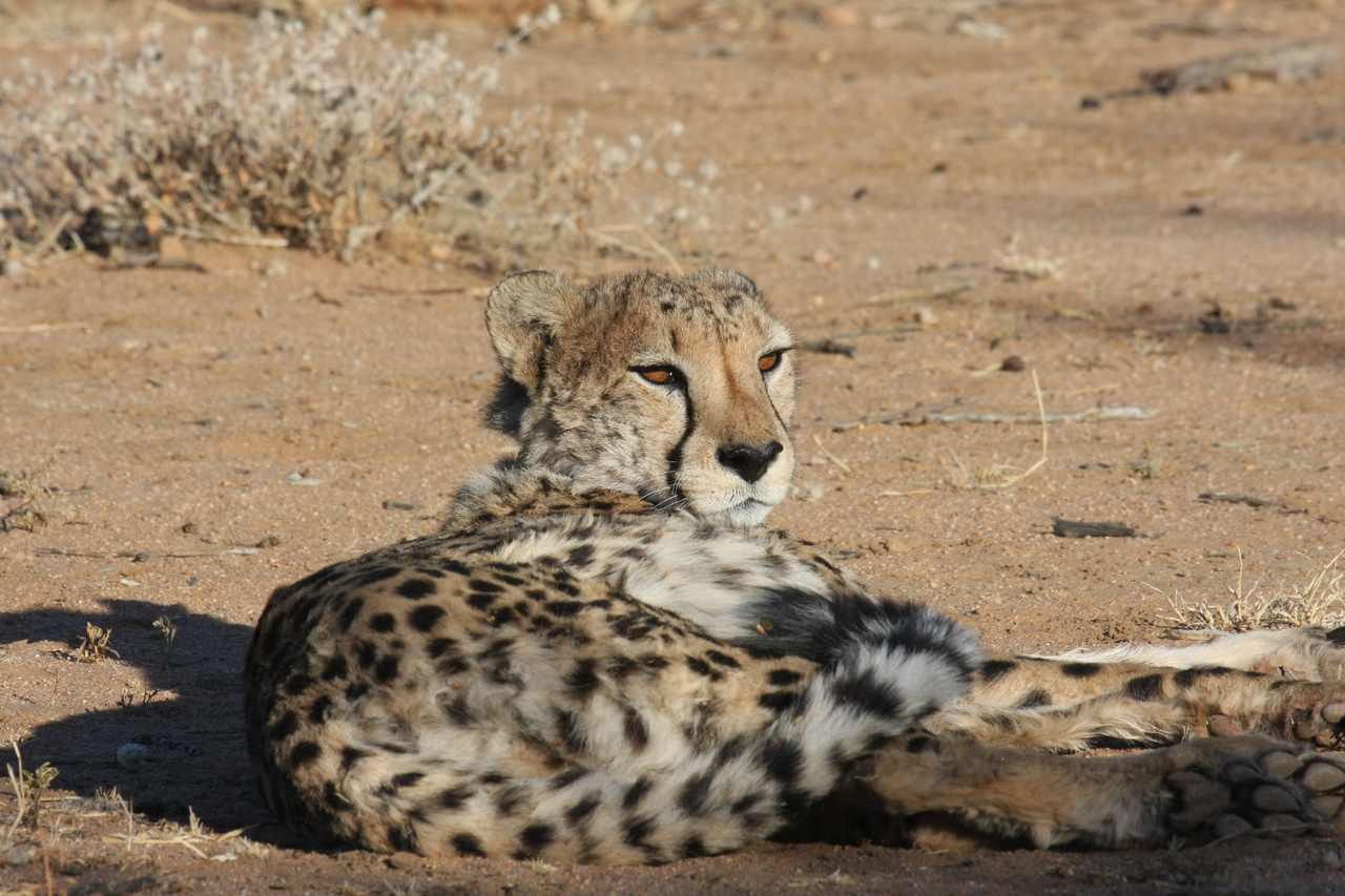 [805] 2016_06_22_02_46_05_Africa_Canon_EOS_40D_IMG__00108.jpg