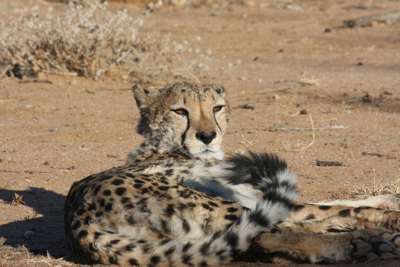[830] 2016_06_22_02_46_14_Africa_Canon_EOS_40D_IMG__00117.jpg