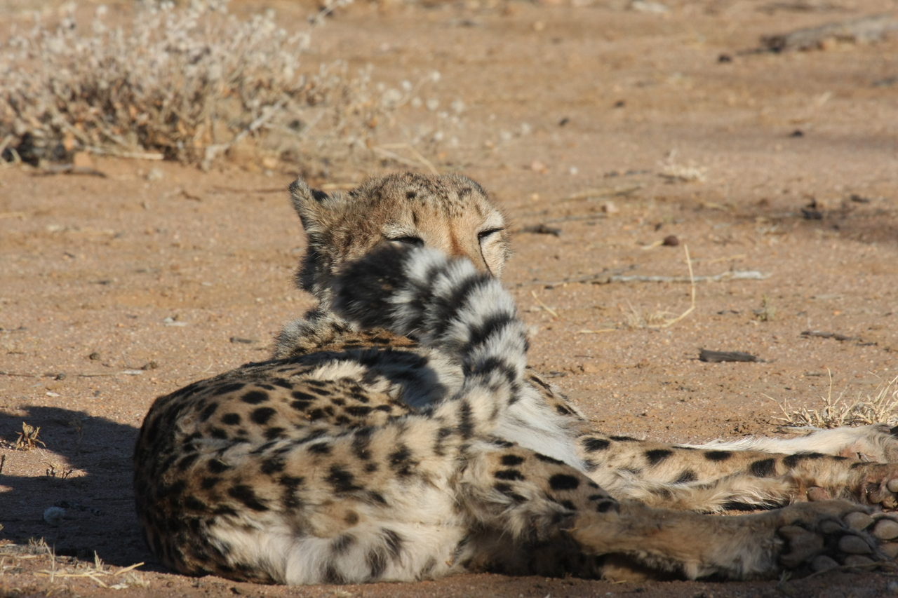 [835] 2016_06_22_02_46_15_Africa_Canon_EOS_40D_IMG__07565.jpg