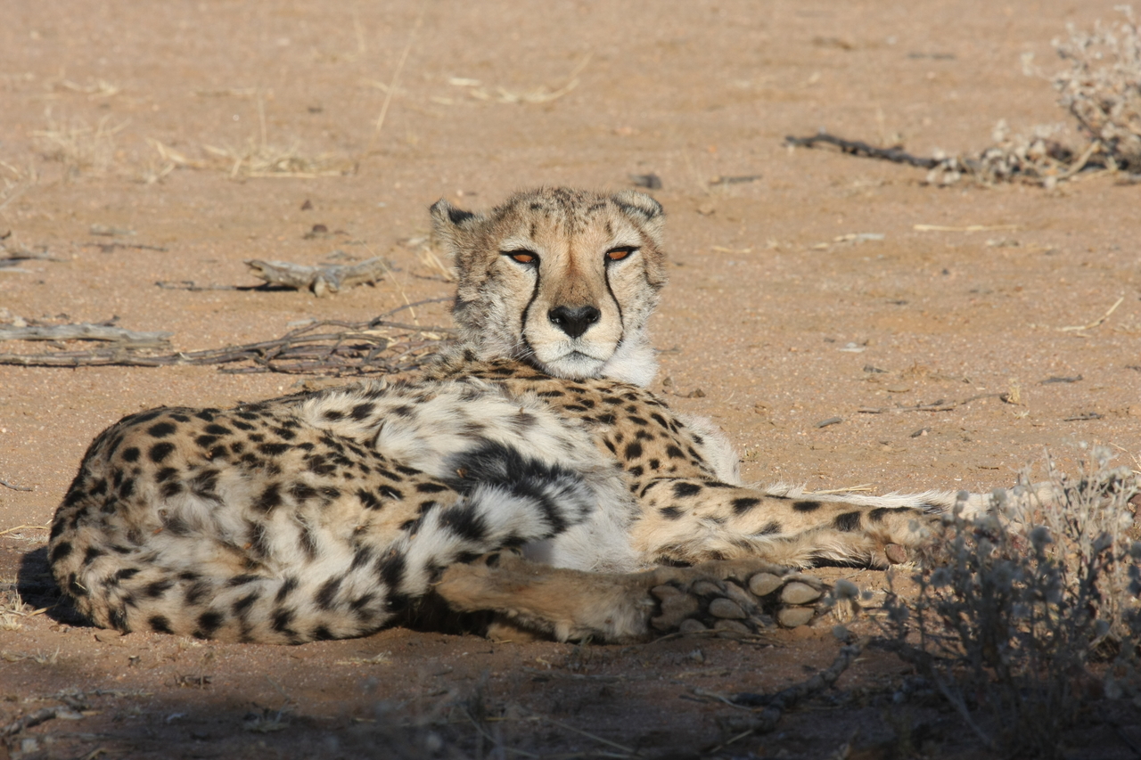 [852] 2016_06_22_02_46_54_Africa_Canon_EOS_40D_IMG__00124.jpg