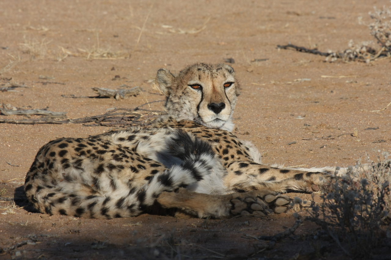 [857] 2016_06_22_02_47_02_Africa_Canon_EOS_40D_IMG__00125.jpg