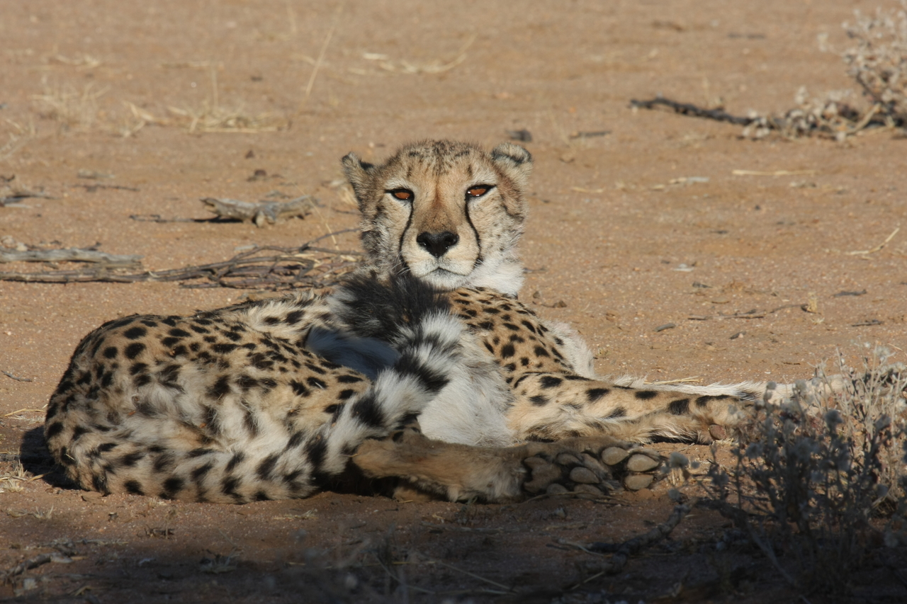 [865] 2016_06_22_02_47_03_Africa_Canon_EOS_40D_IMG__00128.jpg