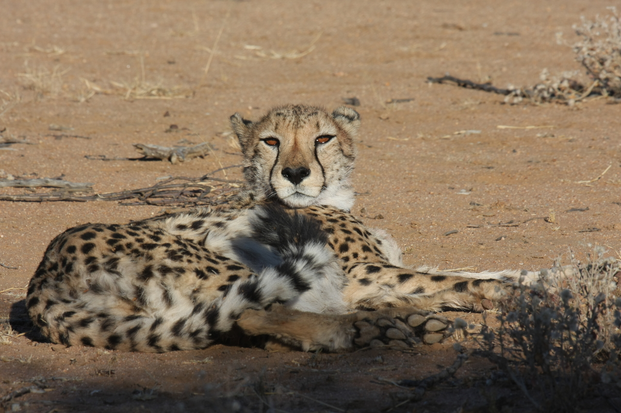 [866] 2016_06_22_02_47_03_Africa_Canon_EOS_40D_IMG__00129.jpg